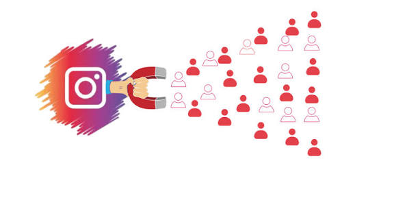 Get Instagram Followers Organically in 2026